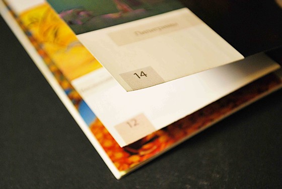 вёрстка буклетов: художники крыма